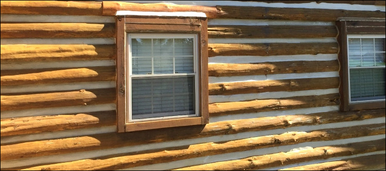 Log Home Whole Log Replacement  Sumter County,  South Carolina